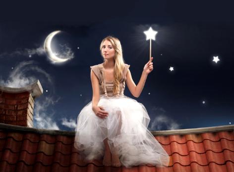 Chimney Fairy Chimney Clean Repair Jacksonville Florida Georgia